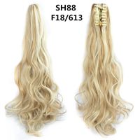 Women's Sweet Daily High Temperature Wire Long Curly Hair Wigs sku image 35
