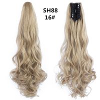 Women's Sweet Daily High Temperature Wire Long Curly Hair Wigs sku image 12