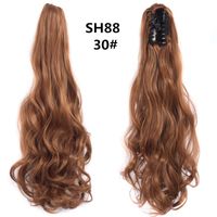 Women's Sweet Daily High Temperature Wire Long Curly Hair Wigs sku image 16