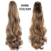 Women's Sweet Daily High Temperature Wire Long Curly Hair Wigs sku image 36