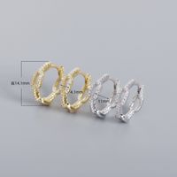 Fashion Geometric Sterling Silver Inlay Zircon Earrings 1 Pair main image 5