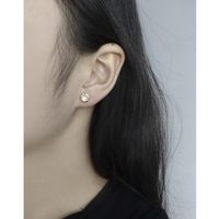 Fashion Geometric Sterling Silver Plating Earrings 1 Pair main image 5