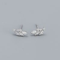 Fashion Flower Sterling Silver Inlay Zircon Ear Studs 1 Pair sku image 1