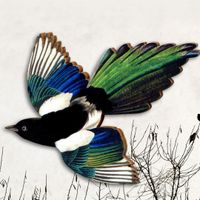 Pastoral Bird Wood Unisex Brooches main image 4