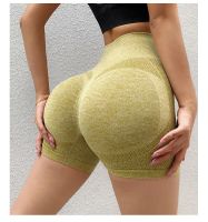 Women's Sports Solid Color Nylon Quick Dry High Waist Active Bottoms Leggings main image video