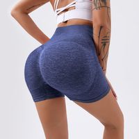 Women's Sports Solid Color Nylon Quick Dry High Waist Active Bottoms Leggings main image 4