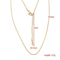 Fashion Solid Color Stainless Steel Plating Necklace main image 3