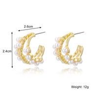 Fashion Oval Heart Shape Pearl Metal Rhinestones Earrings 1 Pair sku image 20