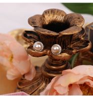 Style Simple Fleur Naturel D'eau Douce Perle Incruster Zircon Boucles D'oreilles 1 Paire sku image 1