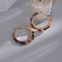 1 Pair Fashion Circle Acetic Acid Sheets Women's Hoop Earrings main image 3