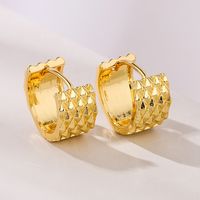 Fashion Geometric Copper Plating Pleated Hoop Earrings 1 Pair main image 3