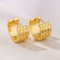 Fashion Geometric Copper Plating Pleated Hoop Earrings 1 Pair main image 4