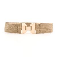 Casual Solid Color Alloy Elastic Band Women's Woven Belts 1 Piece sku image 2