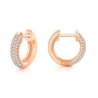 Fashion Circle Copper Plating Zircon Earrings 1 Pair sku image 3