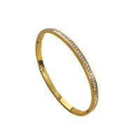 Lady Solid Color Titanium Steel Plating Inlay Zircon Bangle main image 2