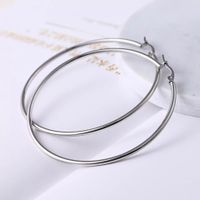 1 Pair Lady Round Plating Stainless Steel Earrings main image 5