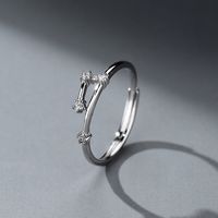 Einfacher Stil Konstellation Sterling Silber Inlay Zirkon Ringe sku image 2