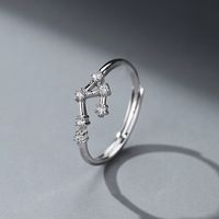 Einfacher Stil Konstellation Sterling Silber Inlay Zirkon Ringe sku image 3