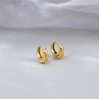1 Pair Fashion Geometric Plating Titanium Steel Earrings main image 3
