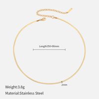 Einfacher Stil Geometrisch Rostfreier Stahl Überzug Halskette sku image 4