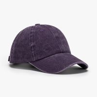 Unisex Japanese Style Solid Color Curved Eaves Baseball Cap sku image 15