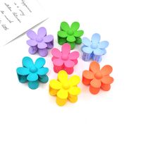 Women's Fashion Flower Arylic Hair Claws main image 5