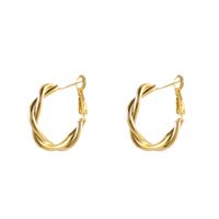 1 Paire Style Simple Cercle Boucles D'oreilles En Alliage Femmes main image 4