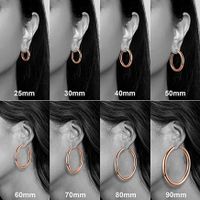 Simple Style Solid Color Stainless Steel Hoop Earrings 1 Pair main image 4