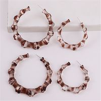 1 Pair Fashion Colorful Transparent Arylic Women's Hoop Earrings main image 5