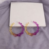 1 Pair Fashion Colorful Transparent Arylic Women's Hoop Earrings sku image 5