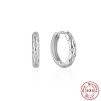 Einfacher Stil Einfarbig Sterling Silber Inlay Zirkon Ohrringe 1 Paar sku image 3