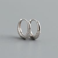 Fashion Circle Sterling Silver Inlay Zircon Earrings 1 Pair sku image 2