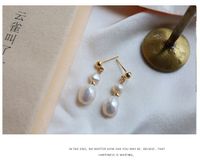 Elegant Geometric Pearl Earrings 1 Pair sku image 9
