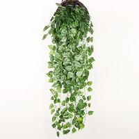 Einfacher Stil Anlage Kunststoff Seidentuch Nachgemachte Pflanzen 1 Stück sku image 1