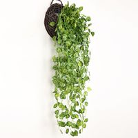 Einfacher Stil Anlage Kunststoff Seidentuch Nachgemachte Pflanzen 1 Stück main image 4