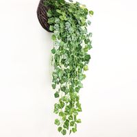 Einfacher Stil Anlage Kunststoff Seidentuch Nachgemachte Pflanzen 1 Stück main image 5