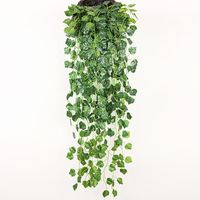 Einfacher Stil Anlage Kunststoff Seidentuch Nachgemachte Pflanzen 1 Stück sku image 4