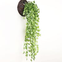 Einfacher Stil Anlage Kunststoff Seidentuch Nachgemachte Pflanzen 1 Stück main image 3