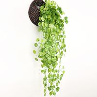 Einfacher Stil Anlage Kunststoff Seidentuch Nachgemachte Pflanzen 1 Stück main image 2