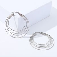 Fashion Geometric Stainless Steel Plating Earrings 1 Pair main image 5