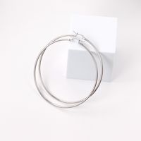 Fashion Circle Stainless Steel Plating Earrings 1 Pair main image 3