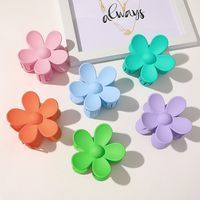 Women's Fashion Flower Plastic Handmade Hair Claws main image 3