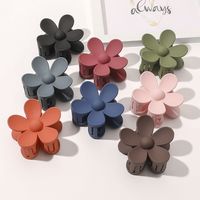 Women's Fashion Flower Plastic Handmade Hair Claws main image 1