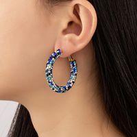 1 Pair Fashion Geometric Arylic Plating Rhinestones Women's Hoop Earrings main image 1