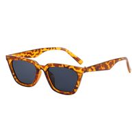 Casual Color Block Leopard Ac Cat Eye Full Frame Men's Sunglasses main image 5