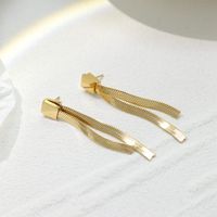 Mode Quaste Titan Stahl Überzug Hängende Ohrringe 1 Paar main image 1