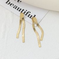 Fashion Tassel Titanium Steel Plating Dangling Earrings 1 Pair main image 2