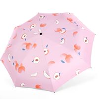 Regenschirm Großhandel Geschenk Koreanisch Mädchen Mori Uv Vinyl Werbung Regenschirm Set Logo Drei Faltbare Sonnenschutz Regenschirm sku image 2