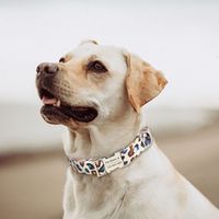 Fashion Leopard Print Canvas Dog Collar Metal Buckle Leash Set Pet Collar main image 5
