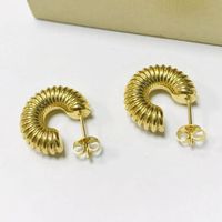 Fashion Spiral Stripe Stainless Steel Gold Plated Earrings 1 Pair main image 5